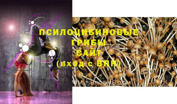 МДПВ Алексеевка