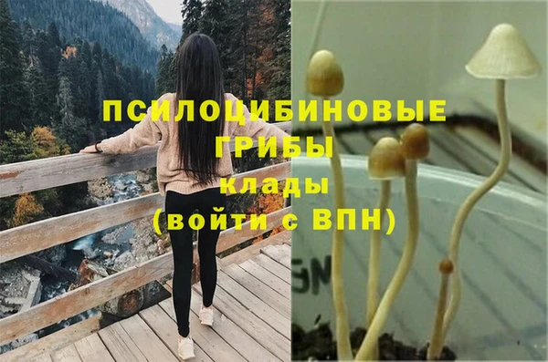 МДПВ Алексеевка
