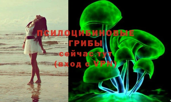 твердый Алзамай